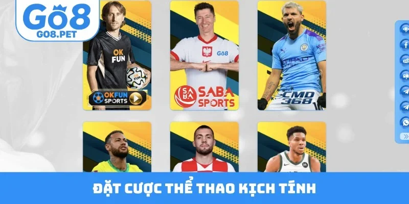 Đặt cược thể thao kịch tính